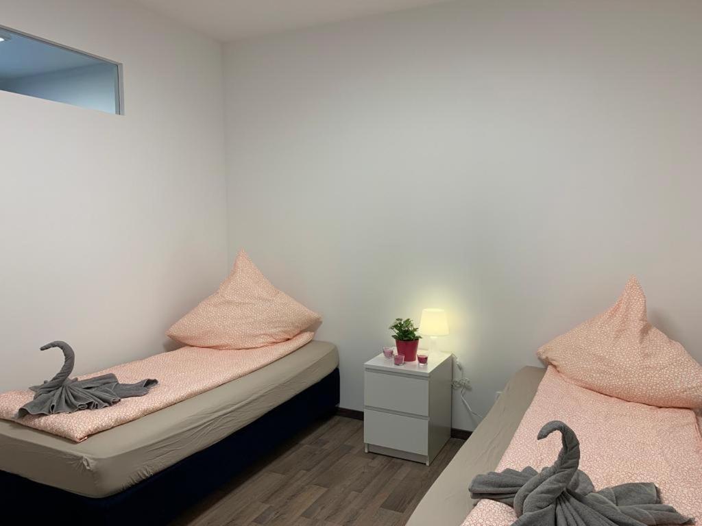 Lovely Share Apartment Aachener Weiher Köln Eksteriør bilde