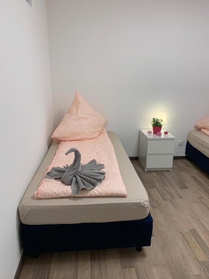 Lovely Share Apartment Aachener Weiher Köln Eksteriør bilde
